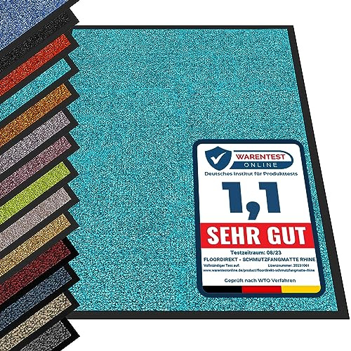 etm Non-slip Dirt Trapper Mat Absorbent Heavy-duty Entrance Mat for Indoor and Outdoor (Turquoise, 60 x 90 cm) Washable Door Mat Barrier Mat Front Doormat