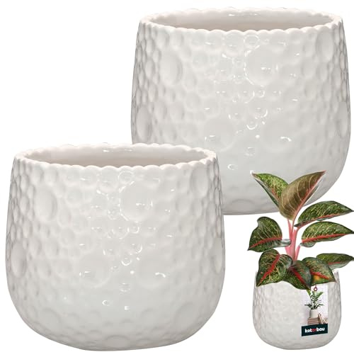 KOTARBAU Lot de 2 Pots de Fleurs Ronds en céramique, diamètre : 12 cm, Hauteur : 12,5 cm, Blanc, Cache-Pot pour Plantes d'intérieur, Modernes, Petits Pots pour orchidées