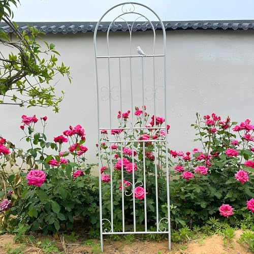 Rankgitter Metall 90cm 115cm 160cm 180cm 200cm 220cm, Rostfrei Rankhilfe Garten Spalier Rankzaun Kletterpflanzen Rosengitter(White,50x160cm)