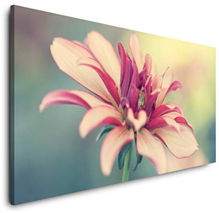 Blumen blätter 120x 60cm Panorama Leinwand Bild XXL Format Wandbilder Wohnzimmer Wohnung Deko Kunstdrucke