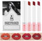 Juego de 4 barras de labios Lana Del Rey, juego de 4 barras de labios, brillo de labios Lana del Rey, cajas de pintalabios, juego de maquillaje para niñas y mujeres