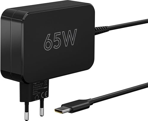goobay 65419 Cargador USB C con 65 W Power Delivery/alimentación para portátiles/Cargador rápido/protección contra sobrecalentamiento/Compacto para Viajar
