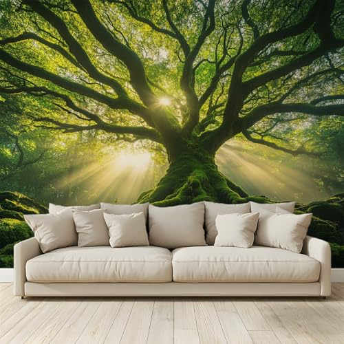 MKBKLI Carta da Parati Fotografica Albero gigante nel bosco Luce solare verde - Design per Pareti Camera - Fotomurali in Tessuto Non Tessuto - 200Cm (L) x140Cm (A)