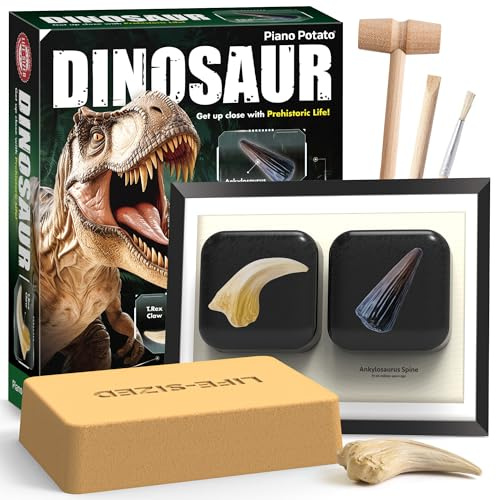 Piano Potato Dinosaurier Ausgrabungsset für Kinder - Grabe T.Rex Kralle & Ankylosaurus Stachel aus, Erstelle Deine Fossil Display, STEM Wissenschaft Spielzeug Geschenk Jungen Mädchen ab 6-12 Jahren