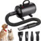 AHWOiHS Asciugacapelli per Cani Soffiatore per Cani 2800W Blower Molto Silenzioso con velocità e Temperatura Regolabile Asciugacapelli per Animali con 4 Diversi ugelli, Tubo Elastico (Nero)