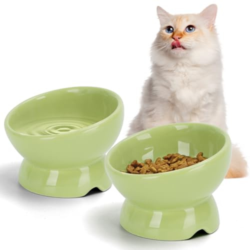 Nobleza - 2 Stück Katzennapf， Keramik Futternapf Katze mit 15°Neigung Design， Anti-Erbrechen Katzennäpfe， Katzenfutternapf für Futter und Wasser， perfekt für Katzen und kleine Hunde，Grün