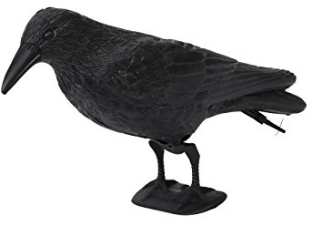 Floraworld Rabe Classic, Schwarz, 37 x 12 x 15 cm