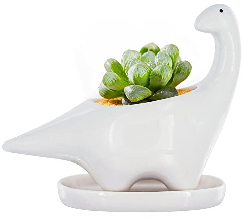 GeLive Maceta de cerámica con diseño de dinosaurio blanco para suculentas, maceta con platillo, decoración de animales de dibujos animados, 5 pulgadas, para interiores y exteriores