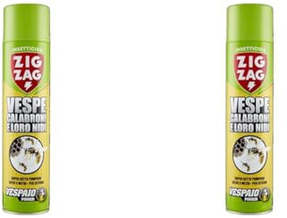 Zig Zag, Vespaio Power, Insetticida per Vespe e Calabroni, Spray ad azione immediata, Colpisce fino a 6 metri, 600 ml (Confezione da 2)