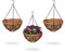 Relaxdays 3 Macetas Colgantes, Cestas de Coco y Metal, 48x31 cm, Plantas Suspendidas, Interior y Exterior, Marrón/Negro, Hierro