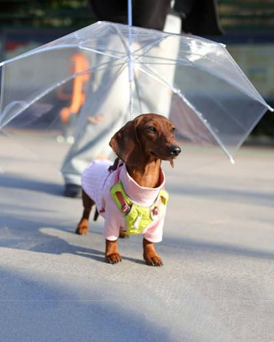 EXCLURA Hunde Regenschirm Transparenter Hundeschirm für Kleine Hunde, Haustier-Katzenwelpenschirme mit Griff und Leine, Winziger Hunderegenschirm für Hunde Bis zu 60 cm Gesamtlänge