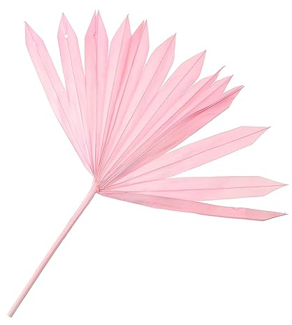 PRETYZOOM Feuille De Palmier Bouquet De Fleurs Artificielles Éventails De Palmiers Séchés Décoration D'intérieur Feuilles Séchées avec Tige Fausses Plantes Vases en Vrac Fleurs Séchées Rose