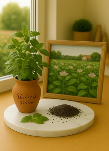 200 Graines Basilic Citron - Ocimum basilicum - Basilic Lemon - Herbe Aromatique - Jardin - 450