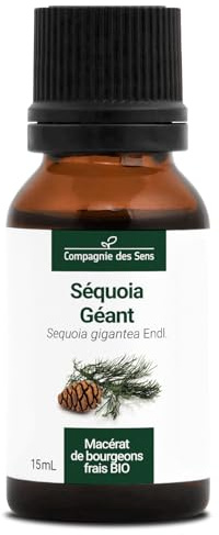 Séquoia Géant BIO - 15mL - (Sequoia Giganteum) – Macérat concentré de bourgeons frais