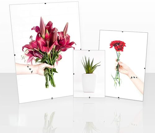 Clippo Rahmenloser Bilderrahmen Posterrahmen 40x60 cm Cliprahmen Bildhalter 60x40 cm mit Rückwand und spiegelfreiem Antireflex Kunstglas 1 mm