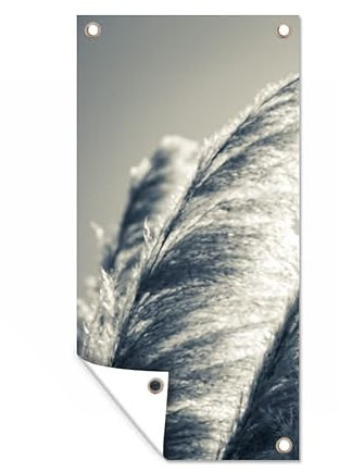 MuchoWow Poster exterieur Herbe de la pampa - Noir - Blanc - Nature Decoration murale 30x60 cm Résistant aux intempéries/soleil