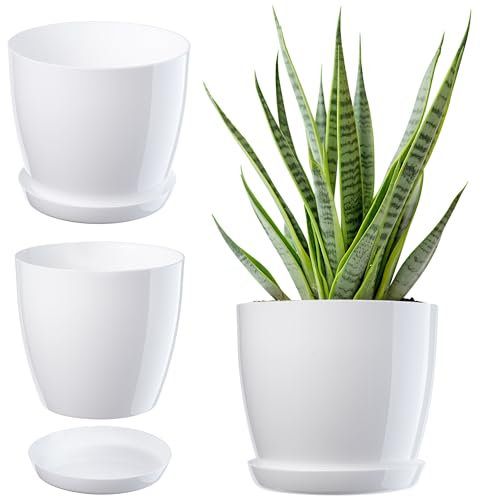 KADAX Flowerpot, fioriera rotonda con sottovaso, Ø 28 cm, elegante vaso in plastica per interni, fiori e piante, (Bianco)
