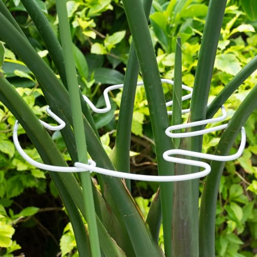 Yohsnor Lot de 5 supports de tige de plantes Monstera blancs - 18,5 x 15,9 cm - Durable et réglable - Pour plantes d'intérieur - Support en arête de poisson - Pince à feuilles innovante - Outil idéal