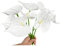 Rikyo Lot de 8 Fleurs de lys anthurium artificielles permanentes de 33 cm pour décoration d'intérieur, Bouquet, Mariage, Festival,décoration de Magasin, Accessoires de Bouquet de Fleurs (Blanc Pur)