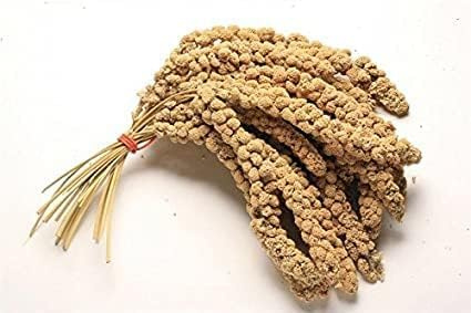VIONIA Millet Sprays x 6 Premium Cage Bird Food Seed