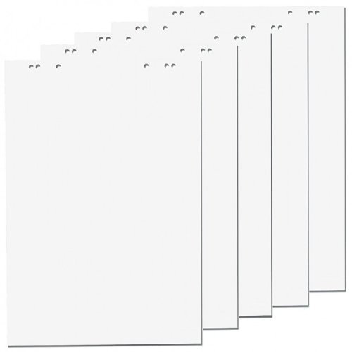 Papiertiger Flipchartblock (5 Blöcke, Blanco)