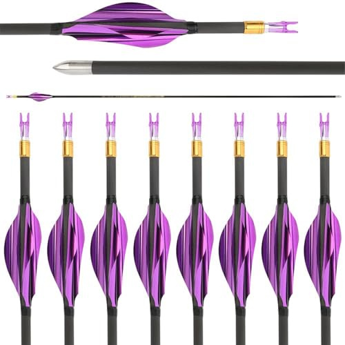 AMEYXGS 31 Pfeile für Bogenschießen Carbonpfeile ID 4.2mm Jagdpfeile 700 800 900 1000 Spine Bogenpfeile für Recurvebogen Compoundbogen 6/12x