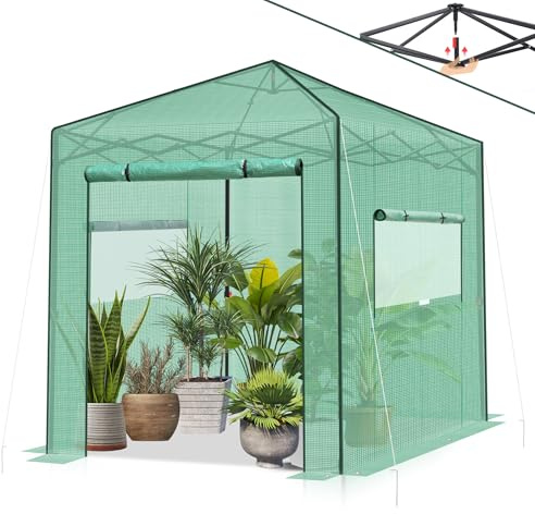 Sekey Gewächshaus 245x245x180 cm, Foliengewächshaus Stabil, One-Touch Pop Up Gewächshaus Balkon mit für optimales Pflanzenwachstum, Grün, XXL