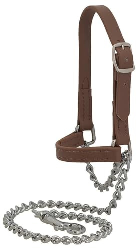Weaver Leather Livestock Brahma Webb Goat Halter, Brown, Small