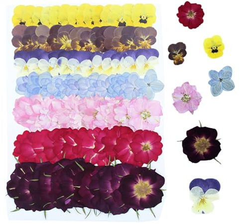 49 Stk. Natürliche getrocknete Pressblumen, 8 Sorten echtes Trockenblumen-Set für Resin-Kunst, DIY-Handwerk, Scrapbooking, Kerzengießen & handmade Karten-Deko, lebendige Farben, Nicht essbar