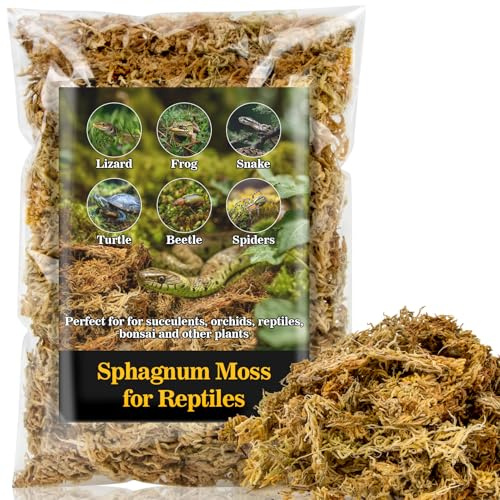 RAINFLOW Muschio di sfagno per rettili, 158,8 g, muschio di torba per terrari, rettili, serpenti, serpenti, gechi leopardati, pitone, geco crestato, tartaruga, rana, criceto