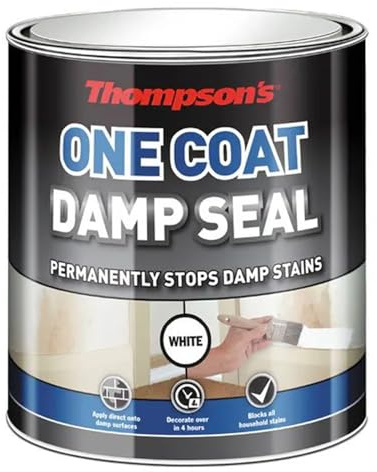AXpower Inspirational Technology Empowering People One Coat Damp Seal Paint 250ml | Blocks Damp & Stains on Walls & Ceilings | Fast Drying Moisture Barrier for Interior Repairs