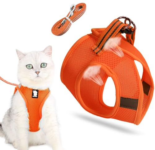 Kattkoppel med sele för katter, hundsele, kattsele och lea, gå utomhus
