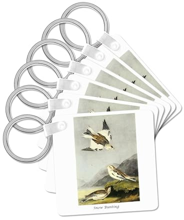 3dRose, Snow Bunting by John James Audubon, set of 6 Key Chains