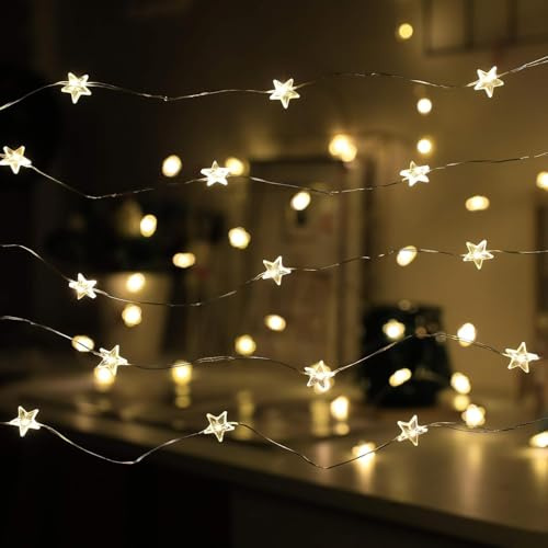 Sunshine smile Herbst Eichel Lichterkette,LED-Ballons Lichter,Lichterkette Weihnachten (F2)