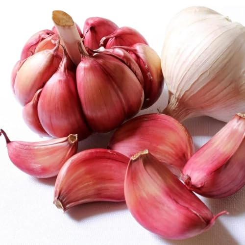 KnoblauchSamen-pflanzknoblauch,winterhartePflanzenfür gartenPflanzensamen,schattenPflanzenzimmer,winterhartePflanzen300pcs