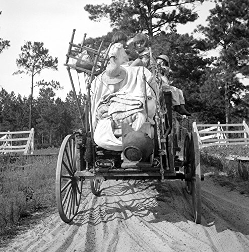 Florida Moving Day 1936 Nmoving Day In Turpentine Pine Forest Country In Florida Photograph By Dorothea Lange 1936 Poster Print by (24 x 36)