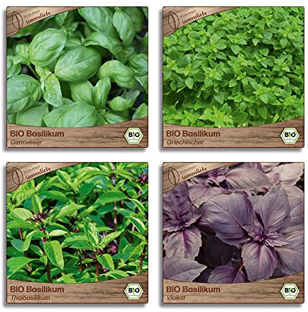 Samenliebe BIO Basilikum Samen Set mit 4 samenfesten Kräutersamen Sorten für Küche indoor und Balkon Garten Basilikum BIO Kräuter Saatgut
