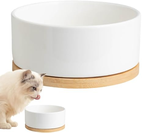 Mangiatoia per acqua riscaldata – Pentole per acqua, piatto riscaldato per animali domestici, ciotola termica per animali domestici, ciotola termica per animali domestici, ciotola termica per uccelli