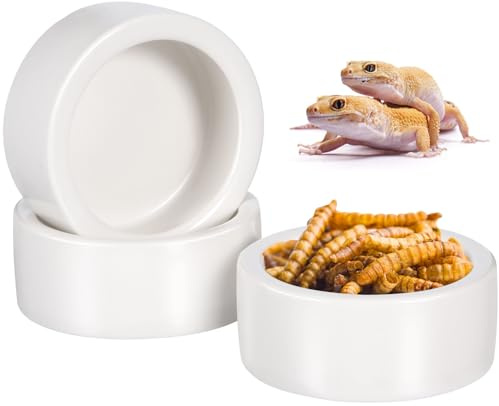 TOYANDONA Lot de 3 Gamelles en Céramique Petite Taille pour Lézards Mangeoire Anti-Évasion Stable et Facile à Nettoyer Bol Solide pour Nourriture et Eau des Reptiles