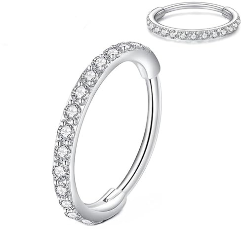 Artskin Nasenring Titan-Nasenstecker-Ring für Frauen und Männer 20G 18G 16G Septum Tragus Conch Ohrringe Lippenstecker Silber/Gold/Schwarz/Rosa/Roségold 6mm/7mm/8mm/9mm/10mm