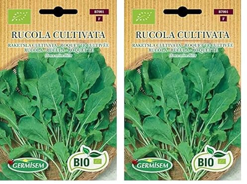 Germisem Orgánica Rucola Cultivata Semillas de Rúcula 6 g (Paquete de 2)