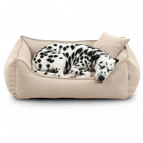 Gutekissen® Hundebett Lucky – Flauschiges Hundekissen für kleine & große Hunde – Waschbares Haustierbett mit Füllung aus Polyurethanschaum & abnehmbarem Bezug (Creme, L - 90x75)