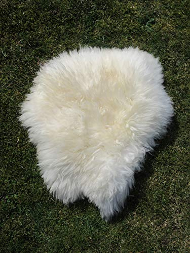Felltrade Véritable Peau de Mouton mérinos Öko - 40 x 40 cm, Blanc, 40 x 40 cm