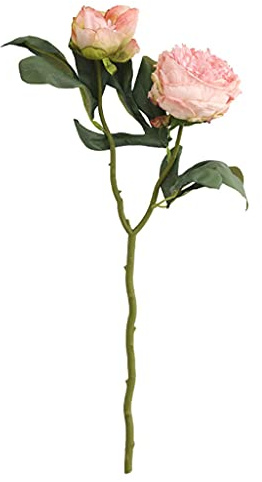 Kunstblumen Künstliche Blumen Gefälschte Pfingstrose Seidenblumenstrauß Dekoration Kunststoff Pfingstrose Einzelne Blume Familienrestaurant Hotel Indoor und Outdoor Party Hochzeit Blumen Fake (Color
