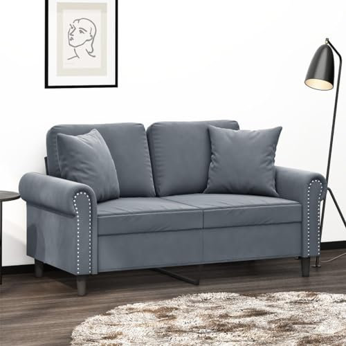 Homgoday 2-Sitzer-Sofa mit Zierkissen Sofa Couch Moderne Relaxsofa Loungesofa Relaxcouch Doppelsofa Loveseat Liegesofa Sofa Sitzmöbel für Wohnzimmer, Schlafzimmer Dunkelgrau 120 cm Samt