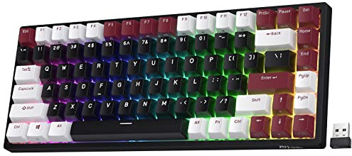 RK ROYAL KLUDGE RK84 RGB Limited Edition, 75% Triple Mode BT5.0/2.4G/USB-C Hot Swappable Mechanical Keyboard, 84 Keys Wireless Bluetooth Gaming Keyboard, RK Yellow Switch, Americano Black