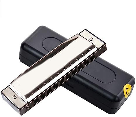 Mundharmonikas 10 Loch Mundharmonika Silber Diatonische Harfe Mundharmonika Tonart C Band Musikinstrument