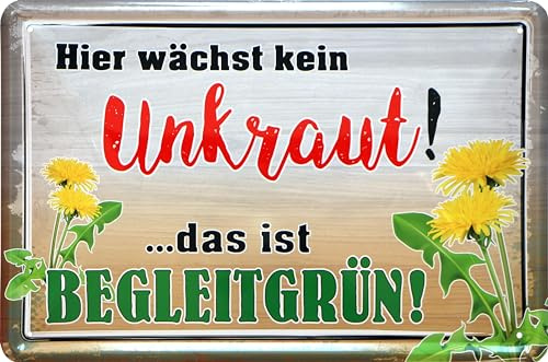 WOGEKA ART Retro Blechschild - Hier wächst kein Unkraut - lustiger Spruch als Geschenk-Idee zur Deko, 20 x 30 cm, aus Metall im Vintage Design 1000