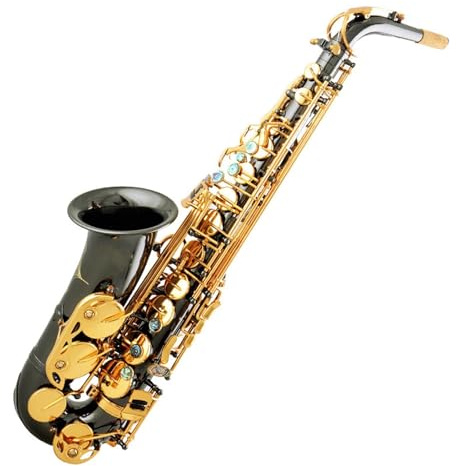 Saxophone Professionnel Altsaxophon Es Messing Schwarz Nickel Gold Verarbeitungsmerkmale Advanced Model Schwarz Nickel Gold
