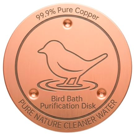 Solisara Disque en cuivre pour Bain d'oiseaux, Plaque de Nettoyage